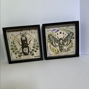 Spirit Framed Insect Art Prints
